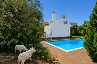 Istria, Rovinj, Unique house with a spacious yard near the beach - 4
