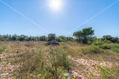 Građevinsko zemljište 769 m², Ližnjan, blizu mora i sadržaja