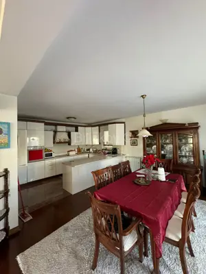 Kuća 370 m², Vodice - uređena okućnica i vrt - 10