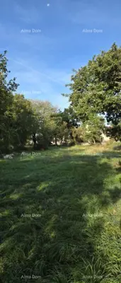 Građevinsko zemljište 908 m², Kanfanar - pristupni put