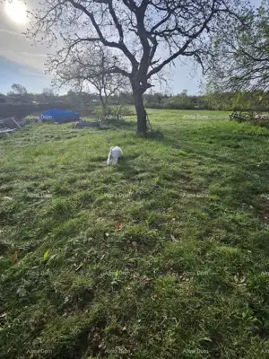 Građevinsko zemljište 908 m², Kanfanar - pristupni put - 3