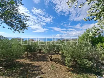 Agricultural land, Podstrana, 4,857 m² - 3