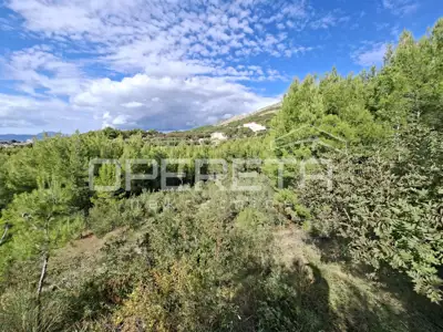 Agricultural land, Podstrana, 4,857 m² - 8