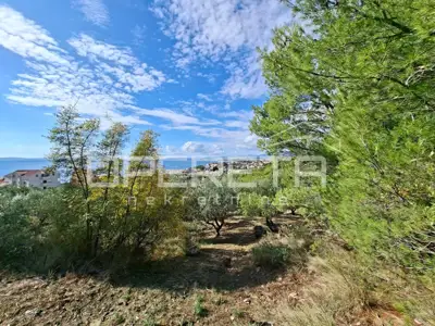 Agricultural land, Podstrana, 4,857 m² - 4