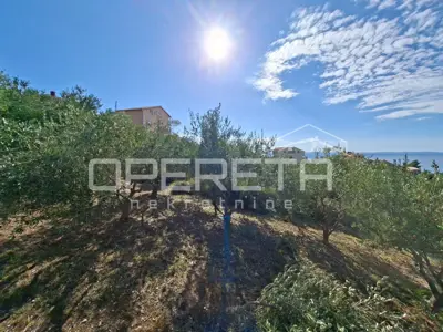 Agricultural land, Podstrana, 4,857 m² - 5