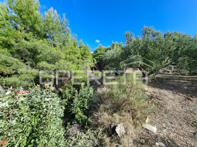 Agricultural land, Podstrana, 4,857 m² - 6