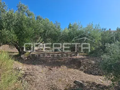 Agricultural land, Podstrana, 4,857 m² - 7