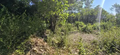 Immobilie 266 m², Kršan - abgeschiedenes Grundstück 6.445 m² - 21