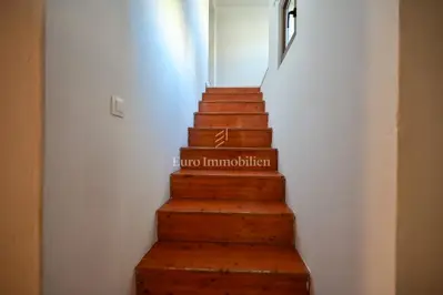 Istra, Kaštelir - kamena kuća s dvorištem - 10