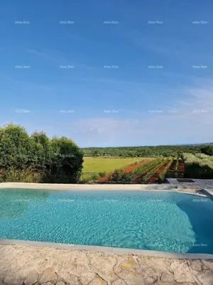 Villa 170 m², Vižinada - garden and pool - 6