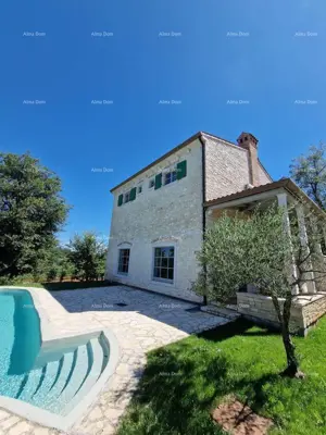 Villa 170 m², Vižinada - garden and pool - 3