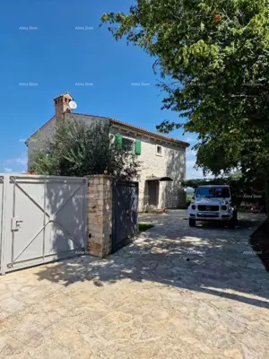 Villa 170 m², Vižinada - garden and pool - 9