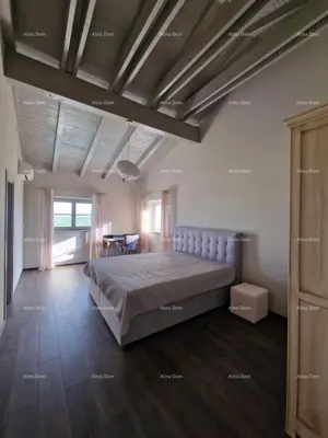 Villa 170 m², Vižinada - garden and pool - 2