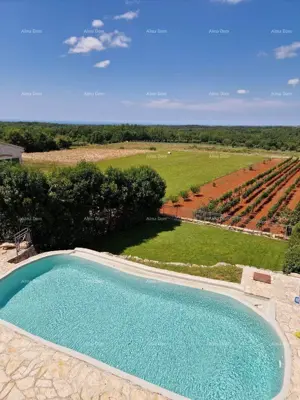 Villa 170 m², Vižinada - garden and pool - 5