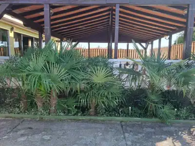 Haus 600 m², Umag - 30 Parkplätze - 4