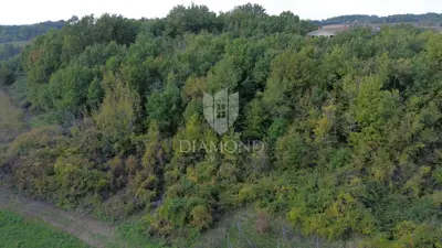Gračišće, građevinsko zemljište 1.652 m², pristupni put - 4