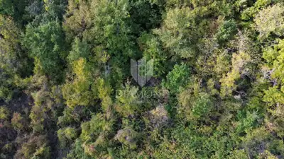 Gračišće, građevinsko zemljište 1.652 m², pristupni put - 2