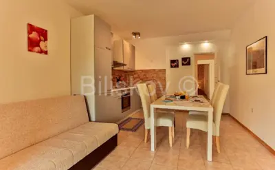 Medulin, vila sa bazenom, 3 uređena studio apartmana - 6