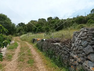 Gornje Kunjanovo, Vis, 5.002,00 m², 76.006,00 EUR - 15