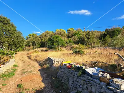 Gornje Kunjanovo, Vis, 5.002,00 m², 76.006,00 EUR - 7