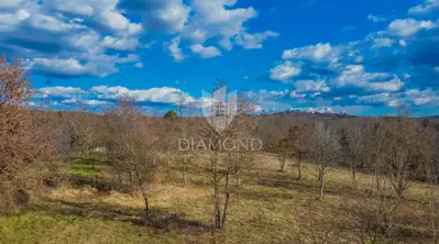 Building plot 1,022 m², Buje - quiet location - 9