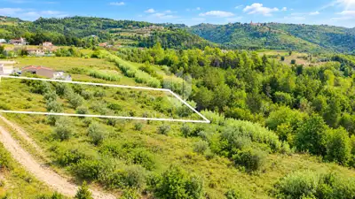 Istra, Buje, okolica- investicijska prilika! - 3
