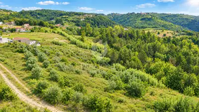Istra, Buje, okolica- investicijska prilika! - 6