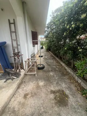Polovica kuće, Povljana - 140 m od plaže, 3 apartmana - 19