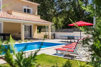 Kuća 615 m², Svetvinčenat - bazen i okućnica - 3