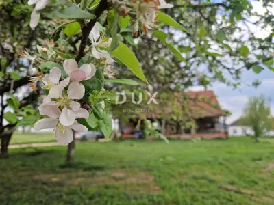 ZAGREB OKOLICA (GRADEC) - Farma bilja s turističkim potencijalom na vi - 3