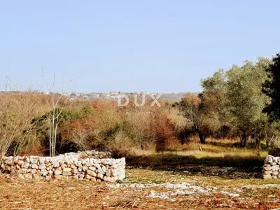 Land, Rovinj - next to the bicycle path and stone wall - 3