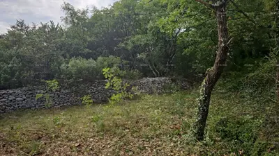 Građevinsko zemljište 11 100 m², Štokovci kod Svetvinčenta