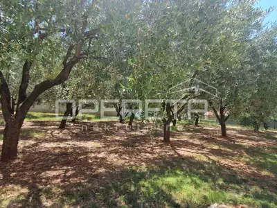 Istria, Galižana, apartment house + building plot, sea view - 4
