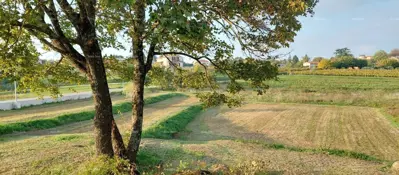 Building land 3 153 m², Lindar near Pazin, quiet location - 3