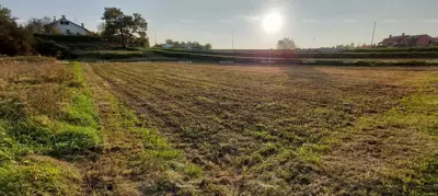 Building land 3 153 m², Lindar near Pazin, quiet location - 5
