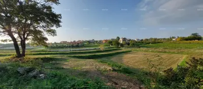 Building land 3 153 m², Lindar near Pazin, quiet location - 4