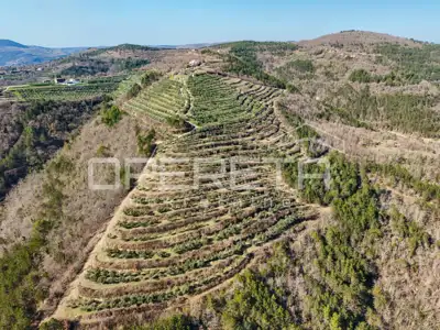 Veliko imanje od 170 000 m² s predivnim pogledom