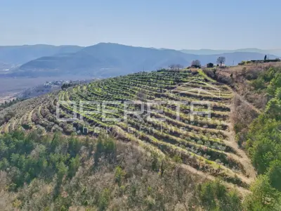 Veliko imanje od 170 000 m² s predivnim pogledom - 2