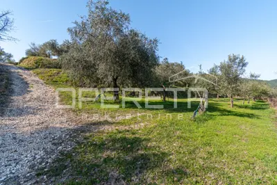 Veliko imanje od 170 000 m² s predivnim pogledom - 21