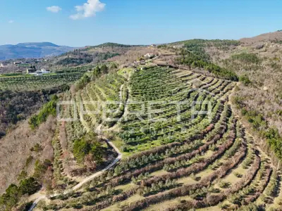 Veliko imanje od 170 000 m² s predivnim pogledom - 6