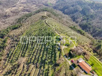 Veliko imanje od 170 000 m² s predivnim pogledom - 15
