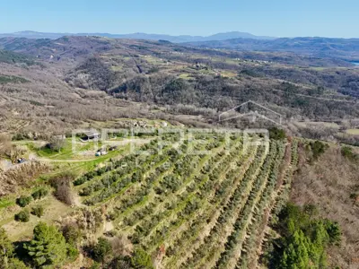 Veliko imanje od 170 000 m² s predivnim pogledom - 4