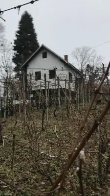 Ferienhaus *ATTRAKTIVE LAGE* - 8