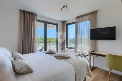 Vila 264 m², Brtonigla - pogled na istarski krajolik - 10