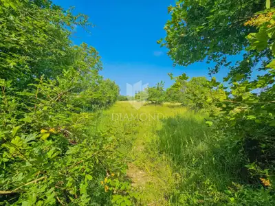 Building plot 2,898 m², Grožnjan - 3 houses - 3