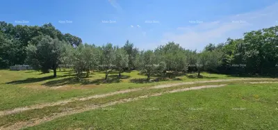 KRNICA - Prodaje se građevinsko zemljište 1070 m² - 4