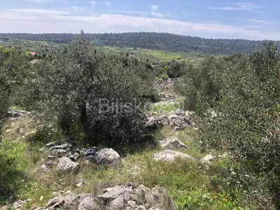 Zu verkaufen, Šolta, Grohote, Grundstück ca. 1500 m² - 4