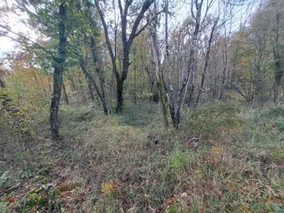 OPATIJA, PERMANI - Landwirtschaftsland, 5.100 m² - 2