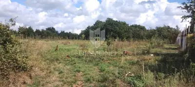 Kuća 10.350 m², Smoljanci - velika okućnica i intima - 21