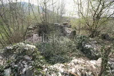 Prapatnica, land 2.5ha with ruined stone buildings, for sale - 9